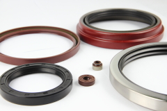 Oil Seal